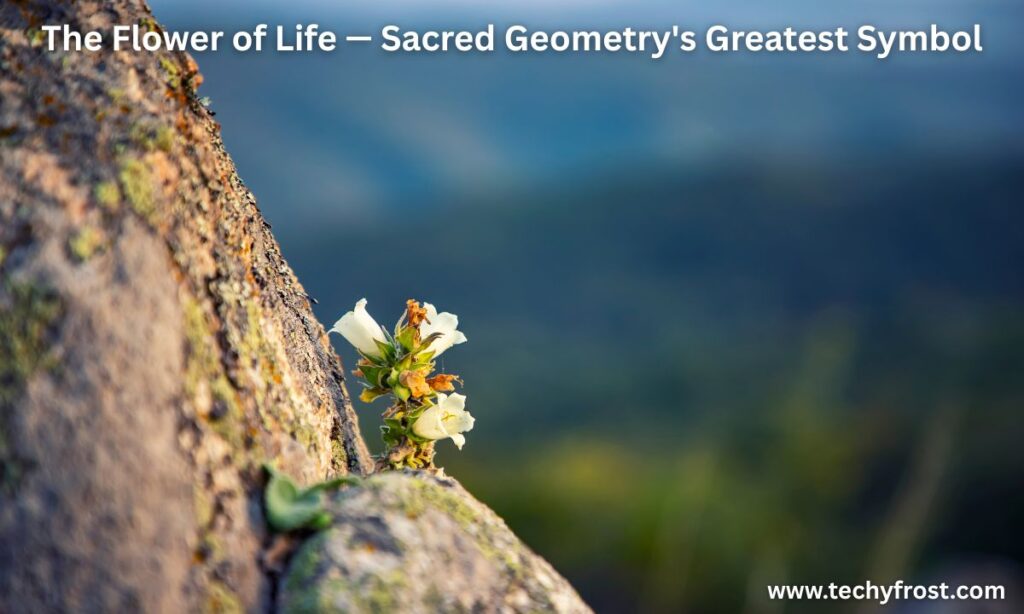 86+ Powerful Life Symbols and Their Deep Meanings That Will Change Your ...